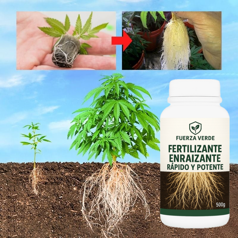 🌱 FERTILIZANTE DE ENRAIZAMIENTO RÁPIDO Y FUERTE PARA PLANTAS SANAS, RESISTENTES Y CON CRECIMIENTO PODEROSO 💪🌿