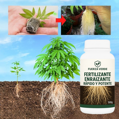 🌱 FERTILIZANTE DE ENRAIZAMIENTO RÁPIDO Y FUERTE PARA PLANTAS SANAS, RESISTENTES Y CON CRECIMIENTO PODEROSO 💪🌿
