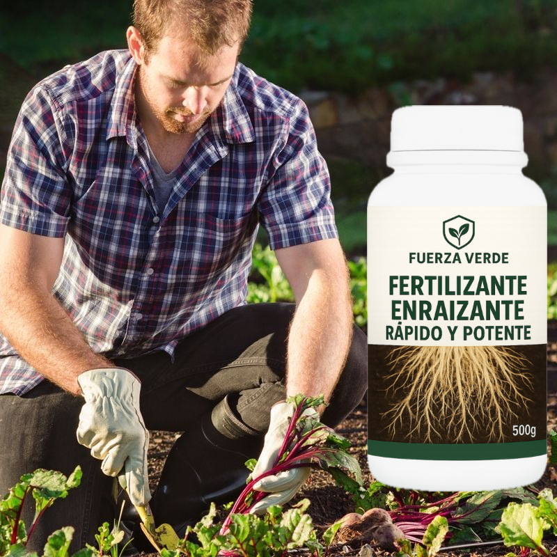 🌱 FERTILIZANTE DE ENRAIZAMIENTO RÁPIDO Y FUERTE PARA PLANTAS SANAS, RESISTENTES Y CON CRECIMIENTO PODEROSO 💪🌿