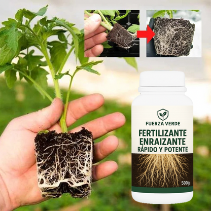 🌱 FERTILIZANTE DE ENRAIZAMIENTO RÁPIDO Y FUERTE PARA PLANTAS SANAS, RESISTENTES Y CON CRECIMIENTO PODEROSO 💪🌿