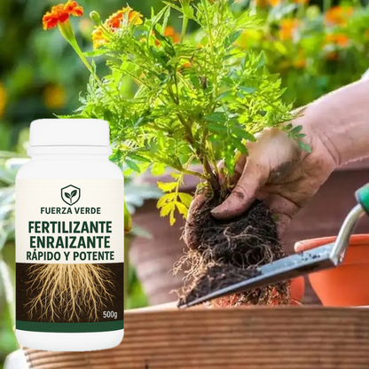 🌱 FERTILIZANTE DE ENRAIZAMIENTO RÁPIDO Y FUERTE PARA PLANTAS SANAS, RESISTENTES Y CON CRECIMIENTO PODEROSO 💪🌿
