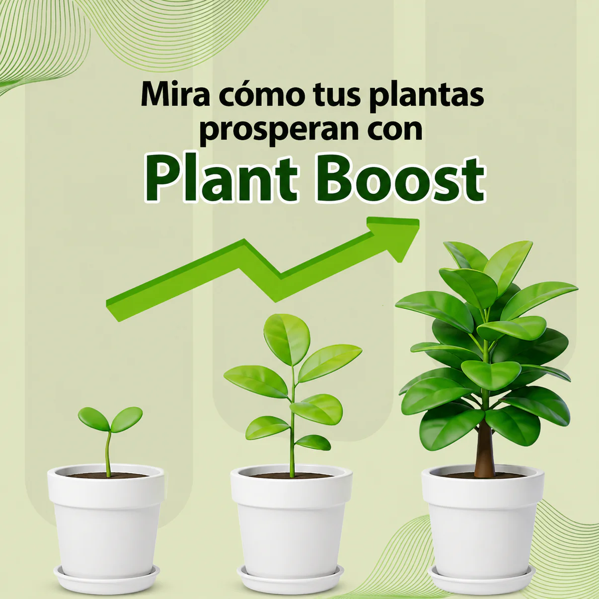PLANT BOOST POTENCIADOR ORGANICO PARA PLANTAS : CRECIMIENTO MAS RAPIDO